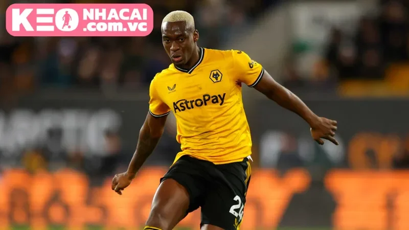 Lịch sử đối đầu của hai đội Wolverhampton Wanderers vs Burnley trong quá khứ