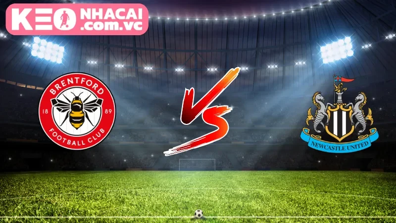Cái nhìn tổng quan về trận cầu Brentford vs Newcastle United